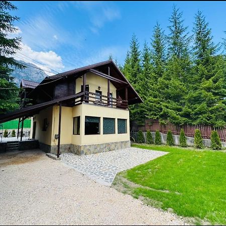 Ollie'S Mountain Chalet Szászbuda Kültér fotó