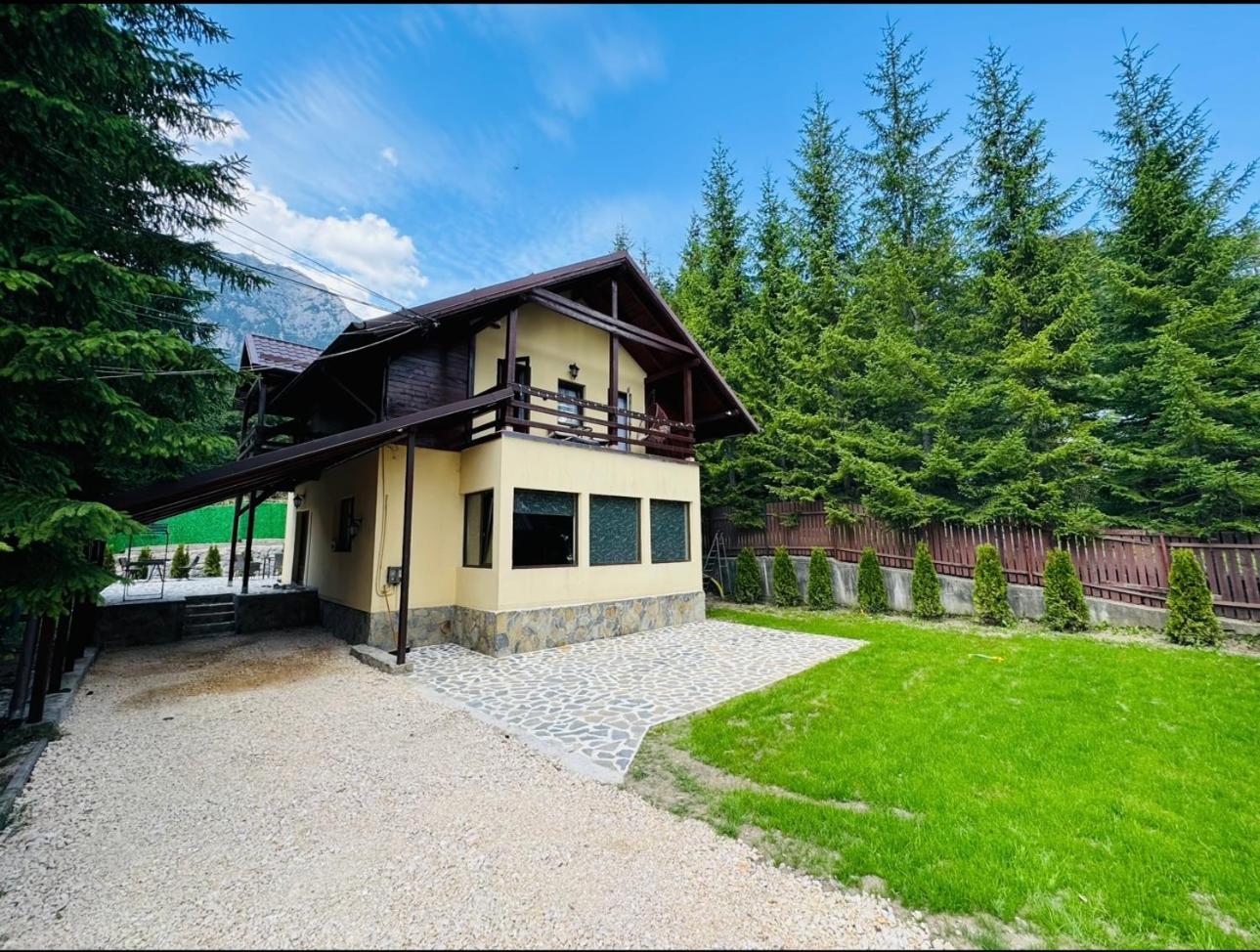 Ollie'S Mountain Chalet Szászbuda Kültér fotó